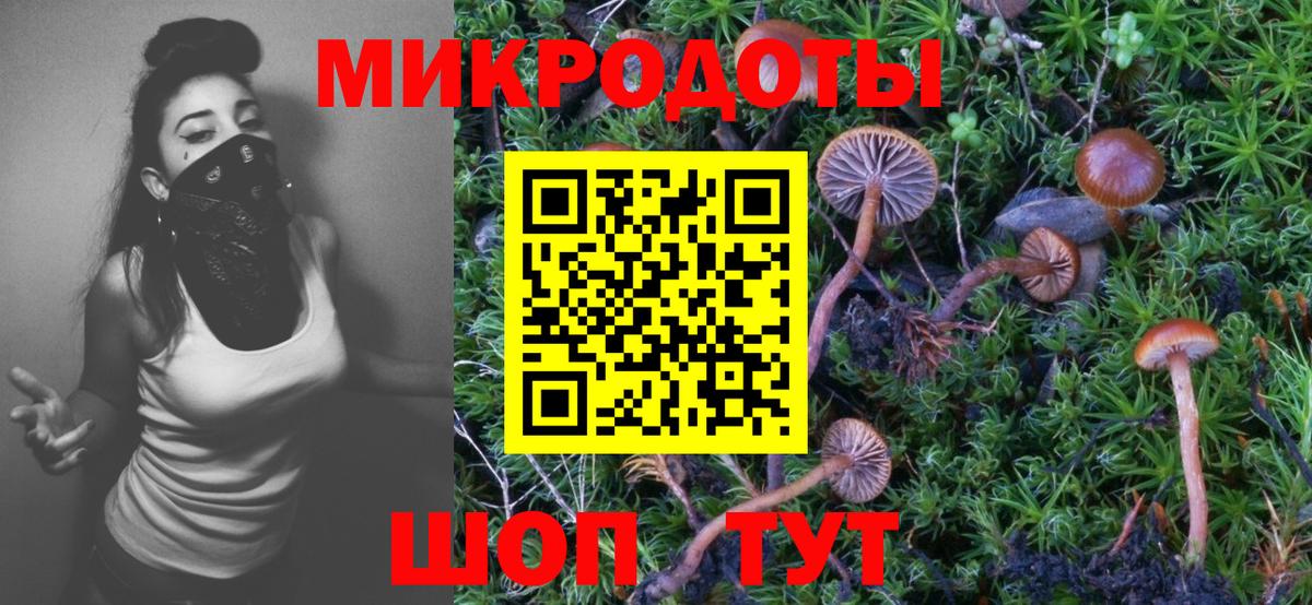 Красноуфимск  Галлюциногенные грибы Psilocybine cubensis  Вход с VPN 