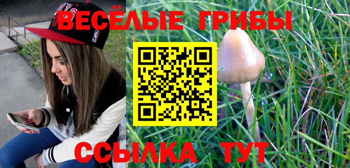 Галлюциногенные грибы GOLDEN TEACHER Красноуфимск